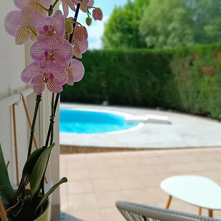 Guest house Picnic And Pool